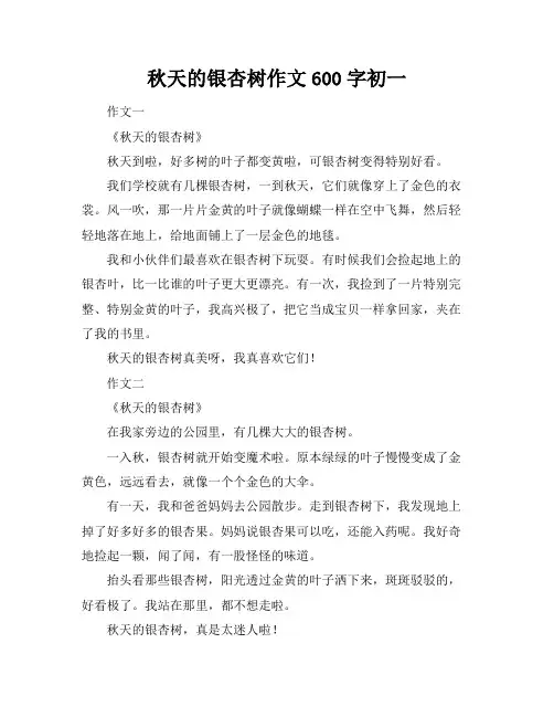 秋天的银杏树作文600字初一