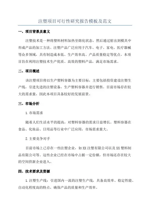 注塑项目可行性研究报告模板及范文
