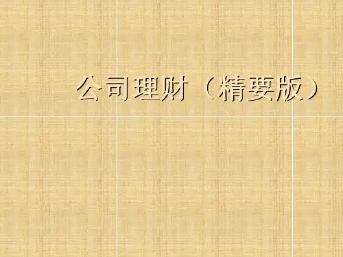 公司理财导论(ppt38页).pptx