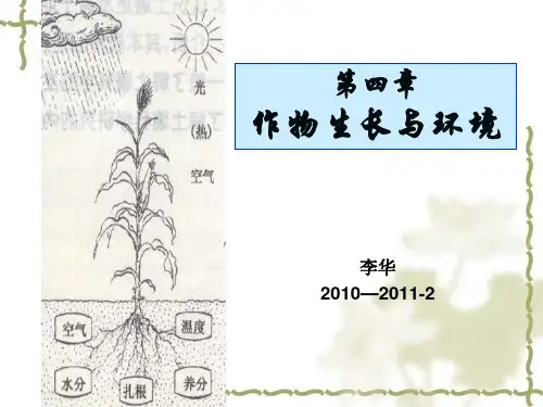 作物生长与环境概述