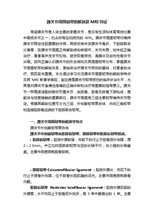 踝关节周围韧带的解剖及MRI特征