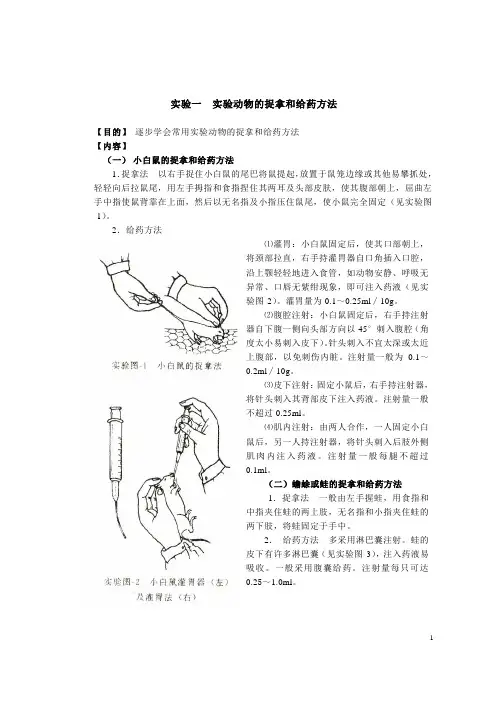 药理学实验