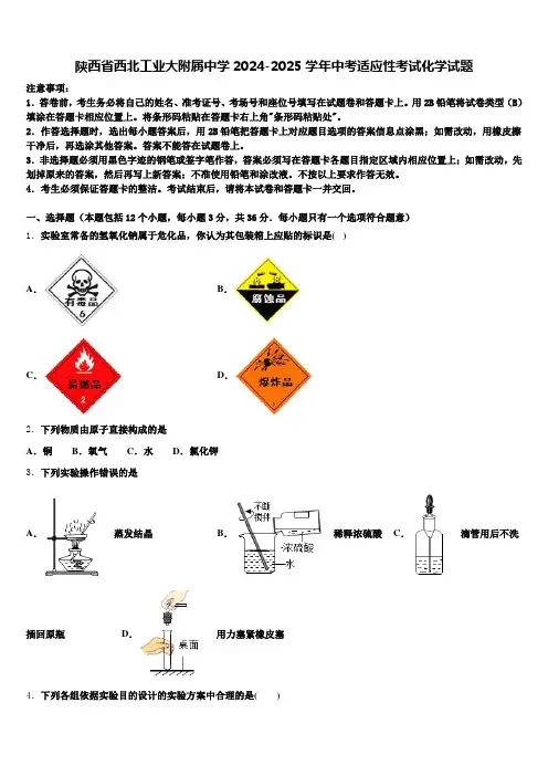 陕西省西北工业大附属中学2024-2025学年中考适应性考试化学试题含解析