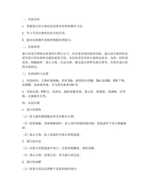 蛋白分离纯化实验报告