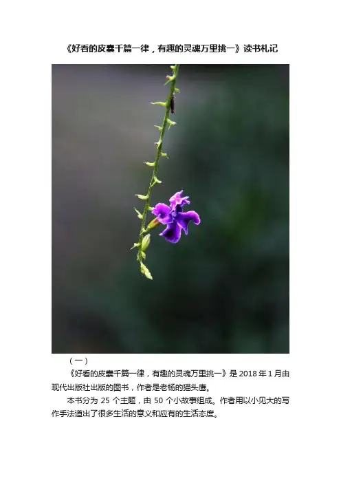 《好看的皮囊千篇一律，有趣的灵魂万里挑一》读书札记