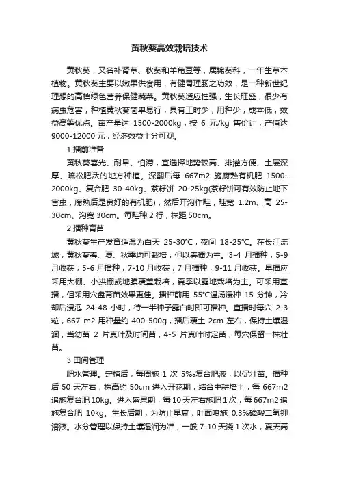 黄秋葵高效栽培技术