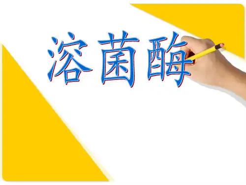 溶菌酶