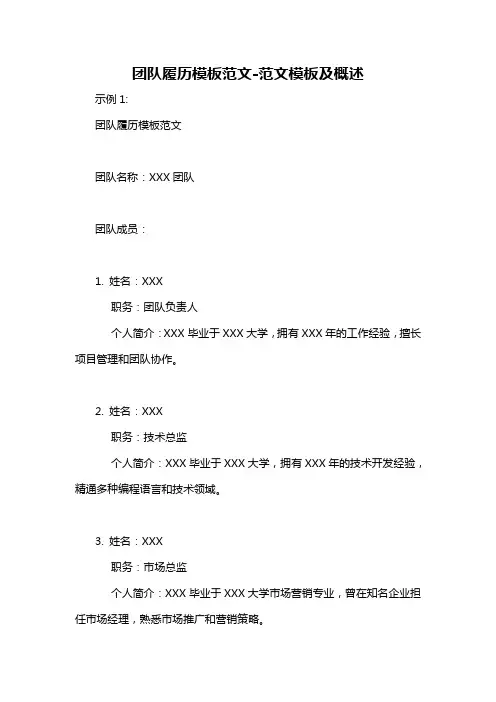 团队履历模板范文-概述说明以及解释
