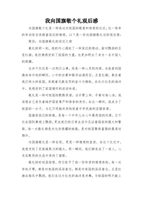 我向国旗敬个礼观后感