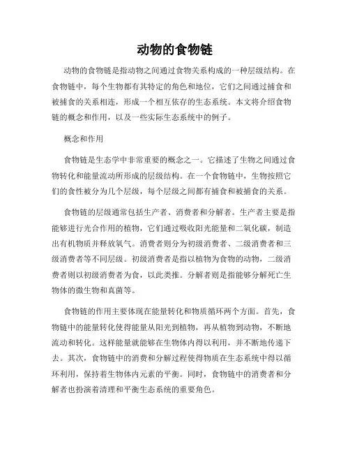 动物的食物链
