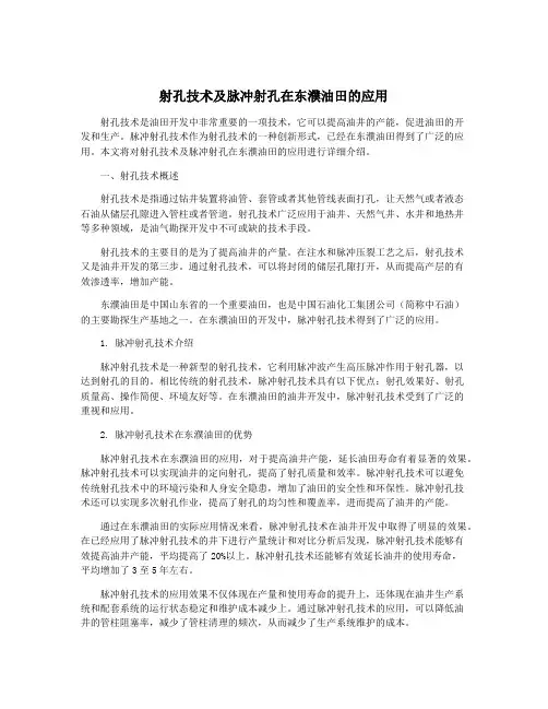 射孔技术及脉冲射孔在东濮油田的应用