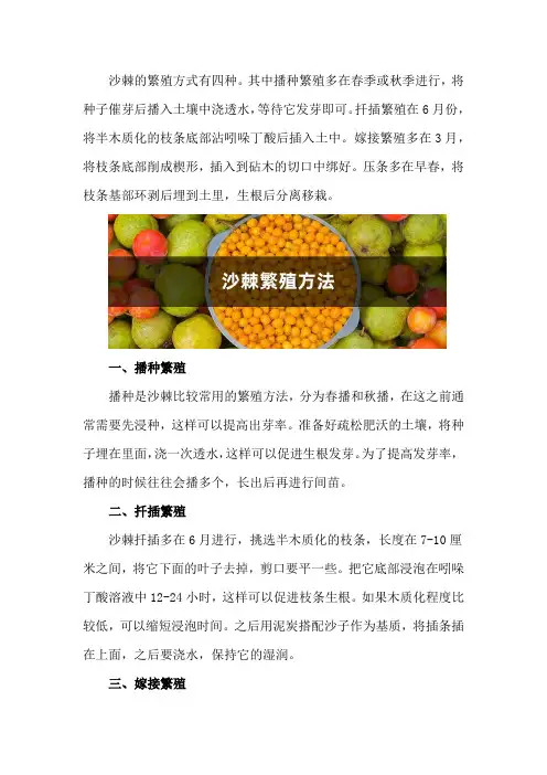 沙棘繁殖方法,沙棘树怎样繁殖