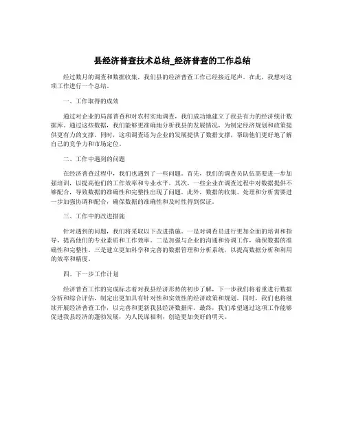 县经济普查技术总结_经济普查的工作总结