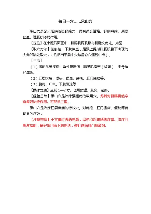 每日一穴……承山穴