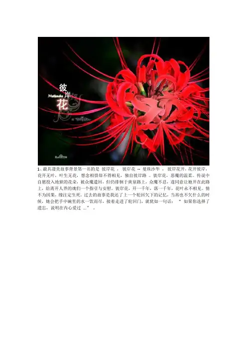 十大最具凄美故事背景之花