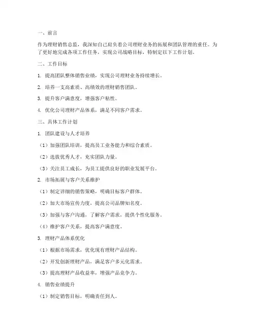 理财销售总监工作计划范本