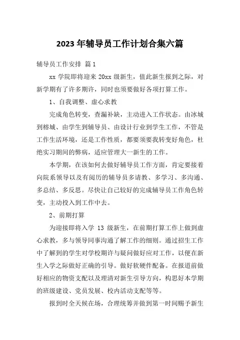 2023年辅导员工作计划合集六篇