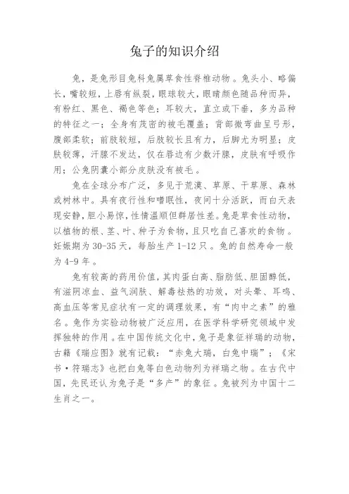 兔子的知识介绍
