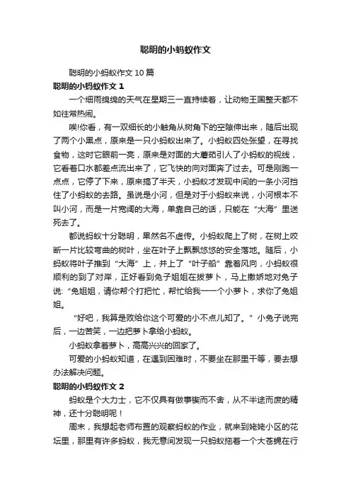 聪明的小蚂蚁作文10篇