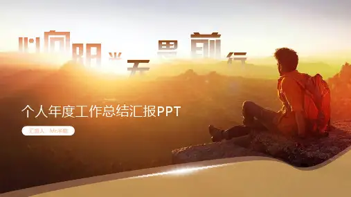 简约小清新个人年度工作汇报总结