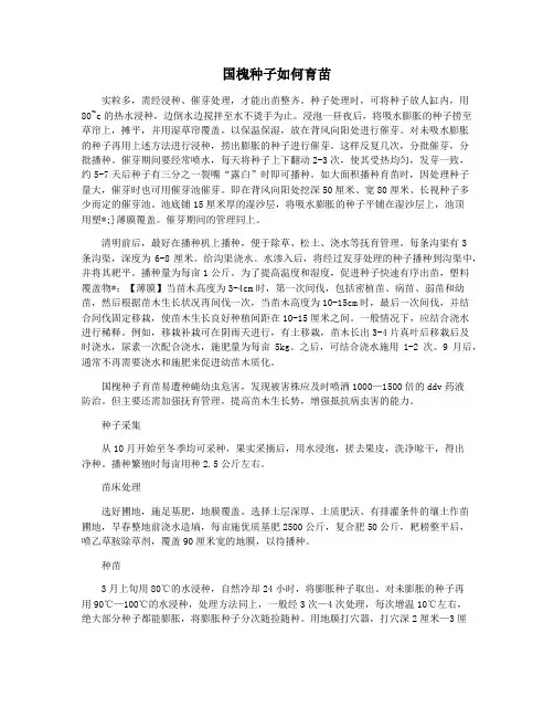 国槐种子如何育苗