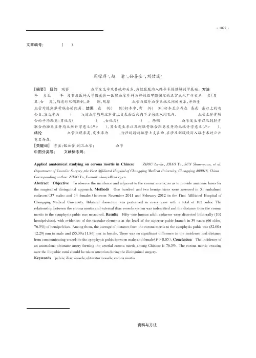 国人corona mortis血管的应用解剖
