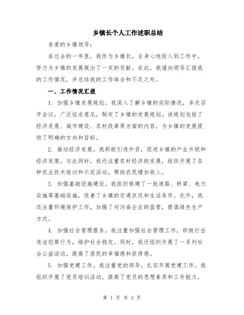 乡镇长个人工作述职总结