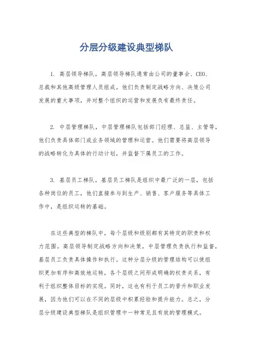 分层分级建设典型梯队