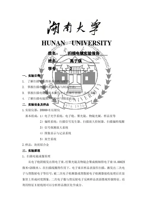 扫描电镜实验报告