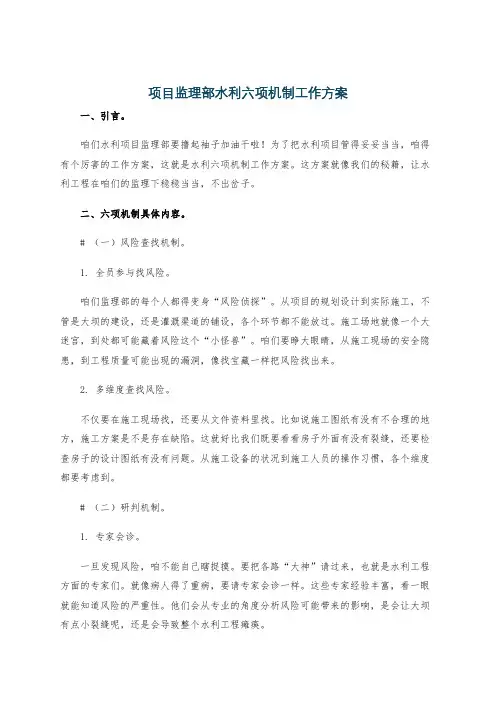 项目监理部水利六项机制工作方案