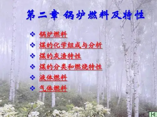锅炉原理最权威的资料