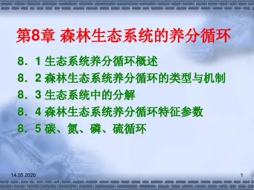 森林生态系统的养分循环PPT精选文档