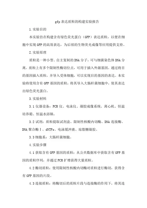 gfp表达质粒的构建实验报告