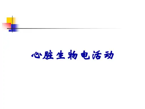 心脏生物电活动