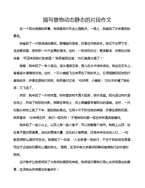 描写景物动态静态的片段作文