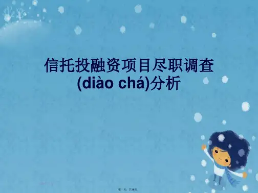 信托投融资项目尽职调查分析