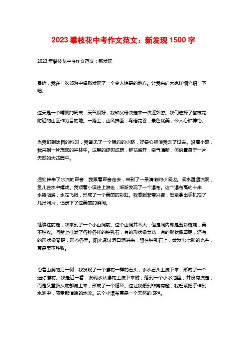 2023攀枝花中考作文范文：新发现