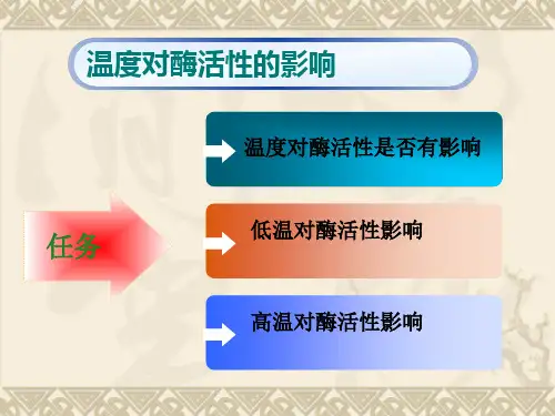温度对酶活力影响PPT课件