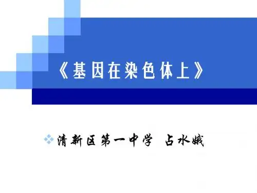说课稿-基因在染色体上