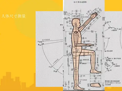 人体尺寸测量PPT资料优秀版