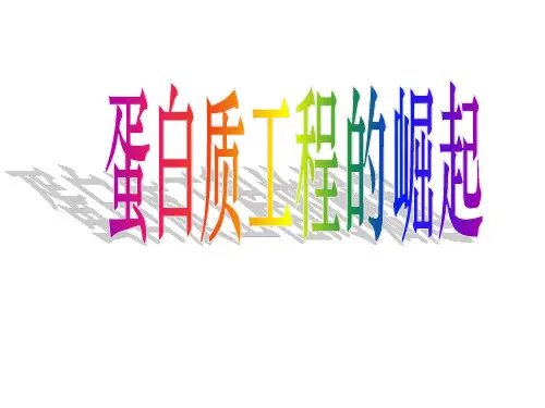 高三生物蛋白质工程的崛起