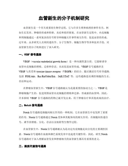 血管新生的分子机制研究