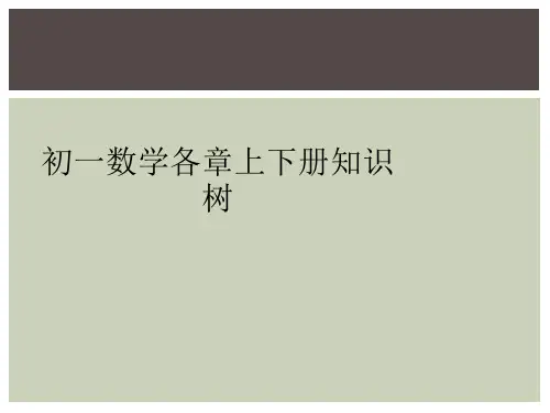 初一数学各章上下册知识树