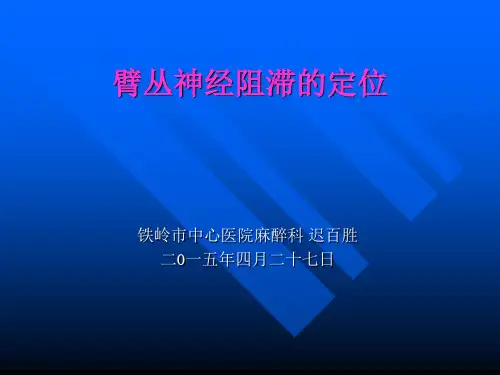 臂丛神经阻滞的定位