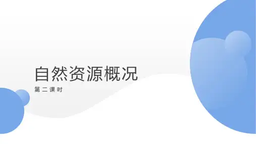 3.1自然资源概况(第二课时)课件地理八年级上册【04】
