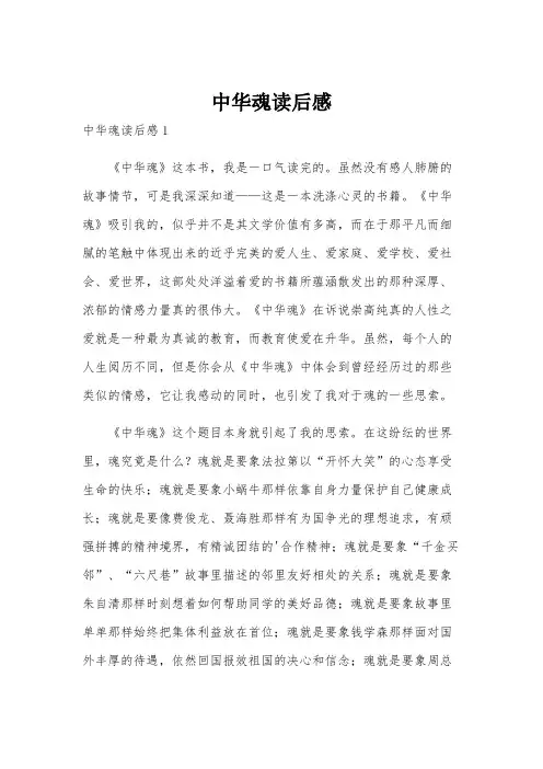 中华魂读后感