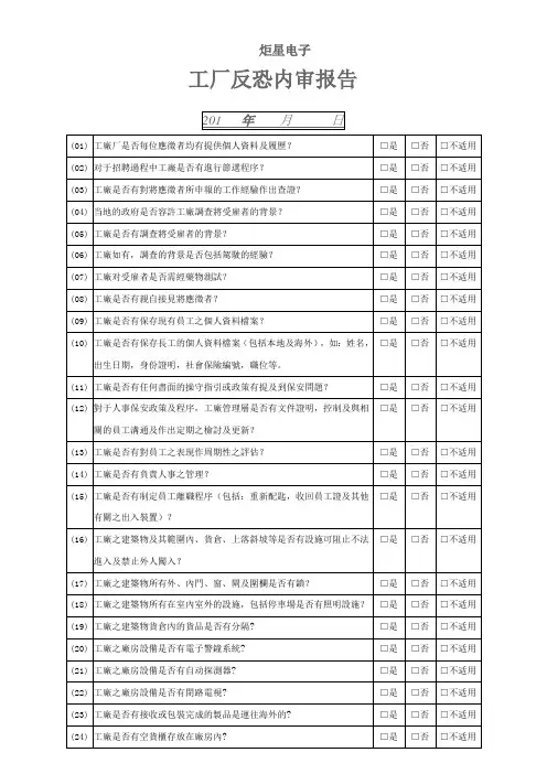 反恐内审报告