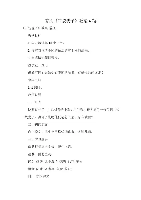 有关《三袋麦子》教案4篇