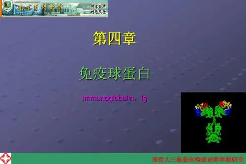 第四章    免疫球蛋白