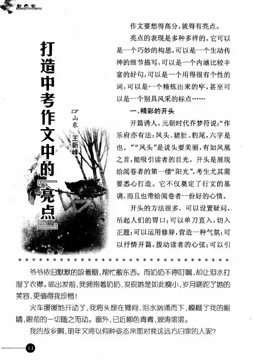打造中考作文的“亮点”